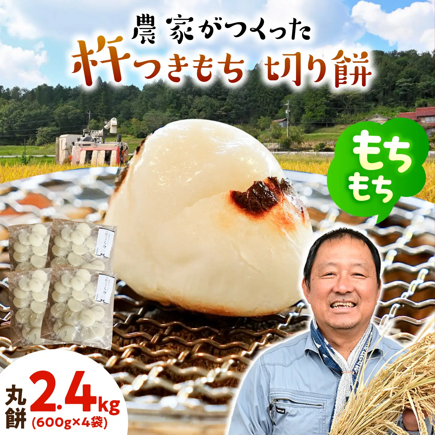 杵つきもち 丸餅 2.4kg 餅 [AZBW005] もち