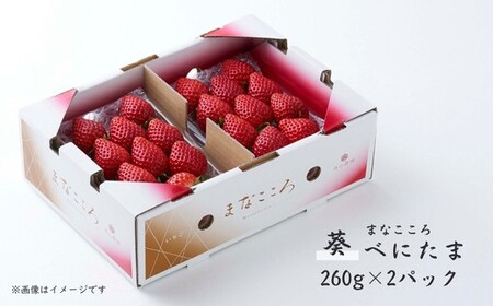 【先行予約】いちご べにたま 葵 260g×2P 苺 べにたま