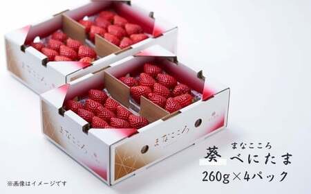 【先行予約】いちご べにたま 葵 260g×4P 苺 べにたま