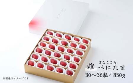 【先行予約】いちご べにたま ギフト 煌 30～36粒 850g | いちご＼ 期間限定 特別寄附額 ／