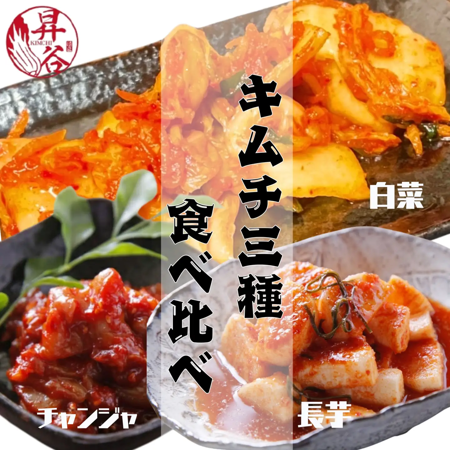 漬匠昇谷　白菜・長芋・チャンジャ　キムチ食べ比べセット 167-172