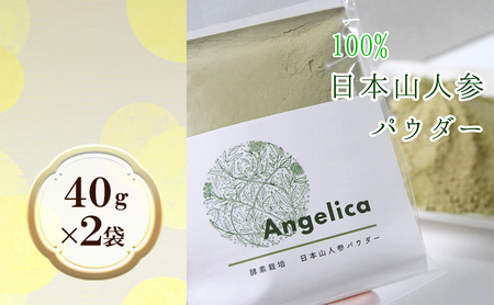 ★希少★日本山人参（葉と茎の粉末） 2袋 飲料類 お茶 野菜/人参 