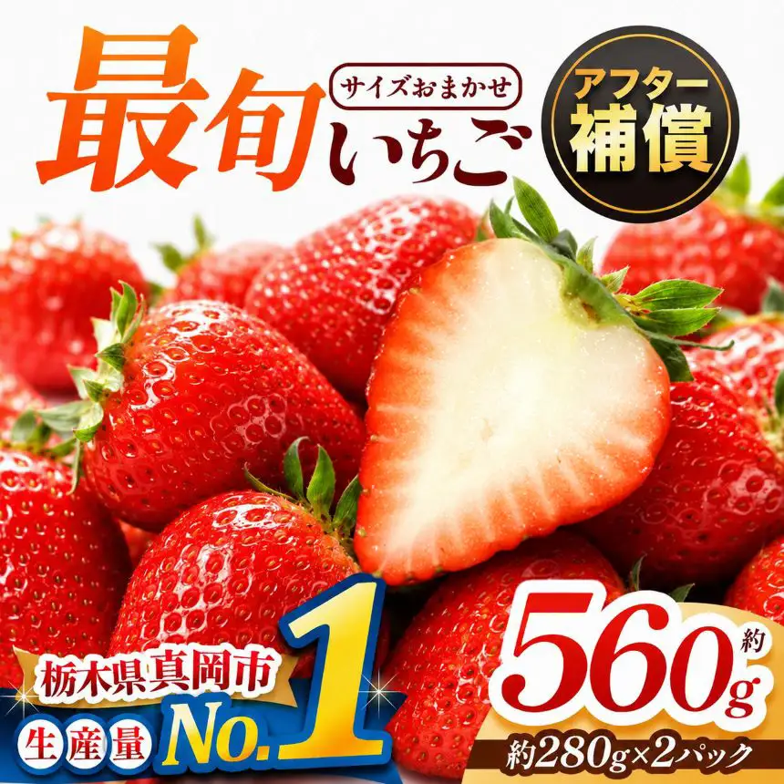 【2027年先行予約受付中】いちご　とちあいか　280g×２パック