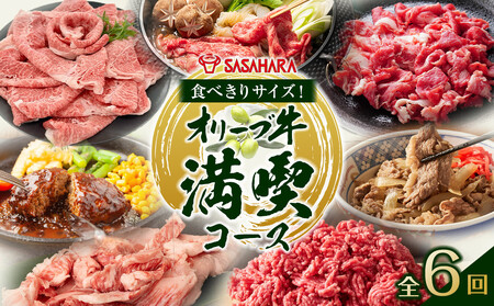 【全6回】食べきりサイズ！オリーブ牛の満喫コース
