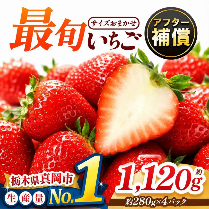 【2027年 先行予約受付中】大人気！ 最旬とちあいか 約1120g 4パック いちご