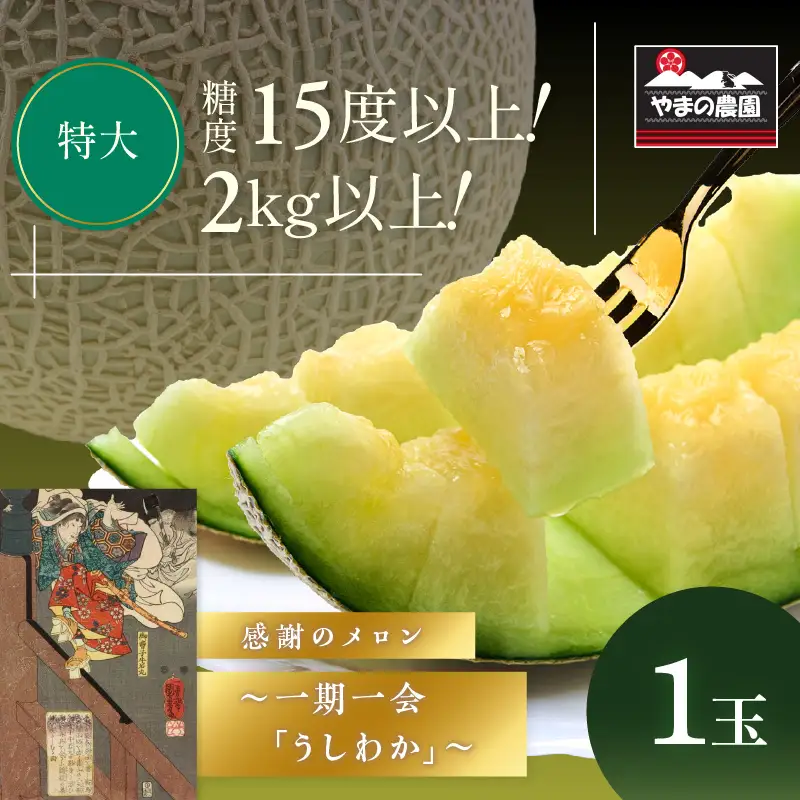 感謝のメロン 「うしわか」 1玉 ≪先行予約≫ フルーツ メロン【FN1268-1】