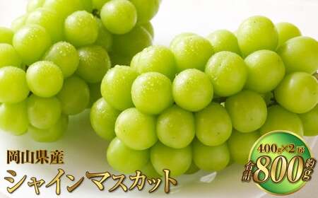 岡山県産 シャインマスカット 晴王 約800g（約400g×2房） 果物 フルーツ くだもの ぶどう ブドウ 葡萄 マスカット 種なし 種無し 冷蔵 国産 奈義町 【2026年7月上旬～8月下旬発送予定】