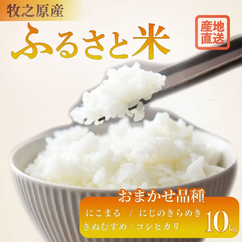 【R8 新米】お米 10kg 品種 おまかせ 【 にこまる にじのきらめき きぬむすめ コシヒカリ 】牧之原市