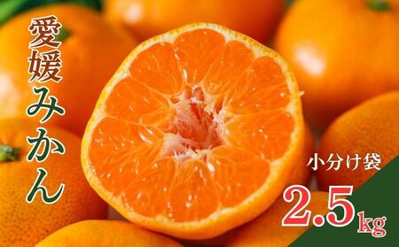 小分け 愛媛みかん 2.5kg みかん