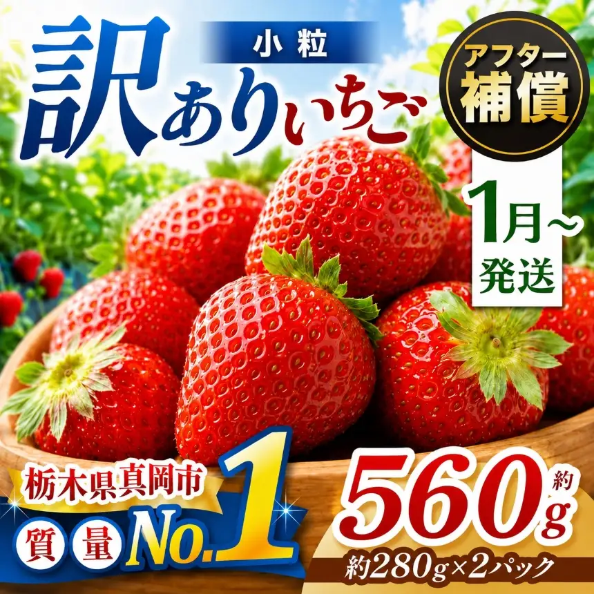 【2027年 先行予約受付中】小粒 とちあいか 約560g （280g×2パック）