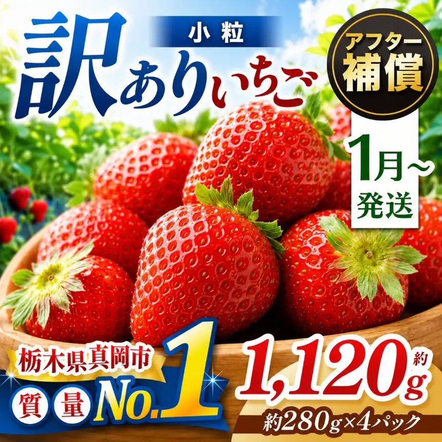 【2027年 先行予約受付中】 小粒 とちあいか 約1120g （280g×4パック）