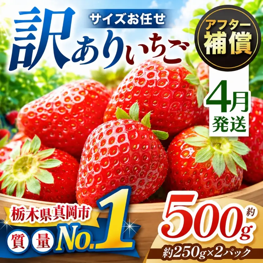 【2027年 先行予約受付中】【4月発送】訳あり とちあいか サイズ お任せ 約500g（250g×2パック）