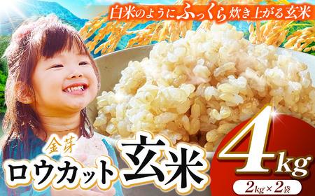 JA上伊那　ロウカット玄米　4kg（2kg×2袋）　白米のようにふっくら炊き上がる玄米【017-19】｜長野県 伊那 伊那市 信州 ロウカット玄米 玄米 ふっくら お米 米 4kg