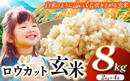JA上伊那　ロウカット玄米　8kg（2kg×4袋）　白米のようにふっくら炊き上がる玄米【034-09】｜長野県 伊那 伊那市 信州 ロウカット玄米 玄米 ふっくら お米 米 8kg