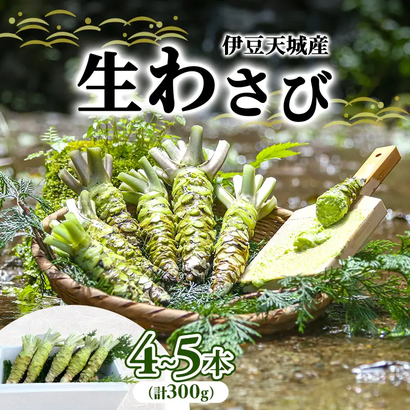 生わさび 伊豆天城産 4〜5本 計300g 薬味 生わさび