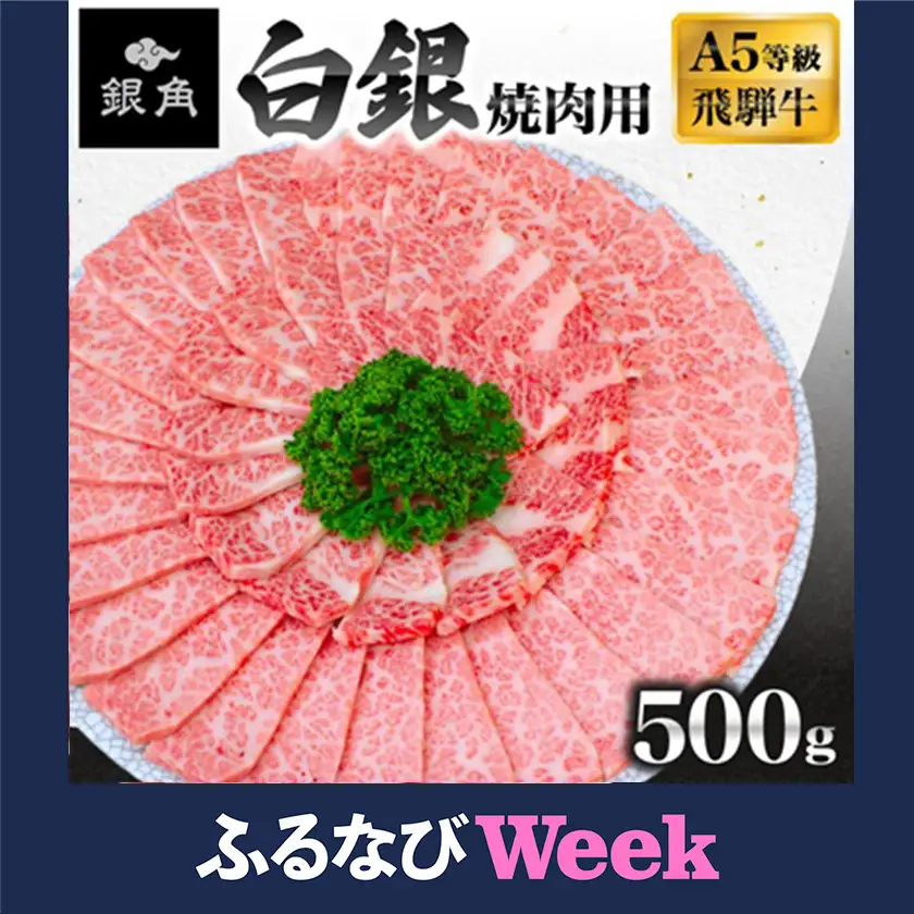 【ふるなびWEEK対象】【飛騨牛】白銀焼肉用500g【配送不可地域：離島】【1686848】