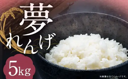 【令和7年産】  特別栽培米 夢れんげ 5kg  【2025年10月下旬発送開始】お米 精米 米 コメ
