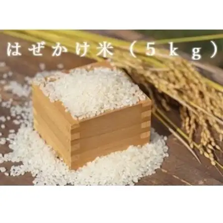 お米　コシヒカリ(はぜかけ米)精米　5kg【1639180】
