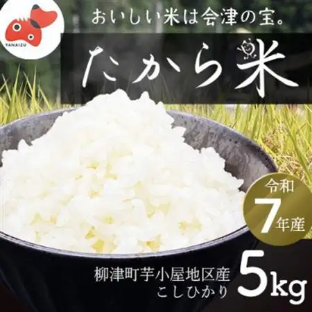 【令和7年産】奥会津のきれいな水で大切に育てた「たから米」【5kg】【1685979】