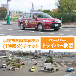 小牧市自動車学校のペーパードライバー教習(1時限分)チケット 小牧市自動車学校 ペーパードライバー 教習 1時限分 チケット 1枚 路上コース 小牧市内 観光スポット巡り 初心者 サポート 運転 不安解消 ドライビングレッスン 自動車学校 愛知県 小牧市 送料無料 [186A02]