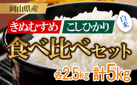 お米 食べ比べセット 5kg（コシヒカリ・きぬむすめ）井原市美星町産(令和8年産)