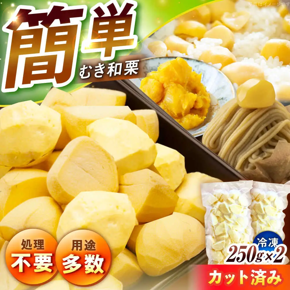 【先行予約】冷凍むき栗「日本栗」 カット500g（250g×2P） / 恵那市 / えな笠置山栗園 [AUAV006]