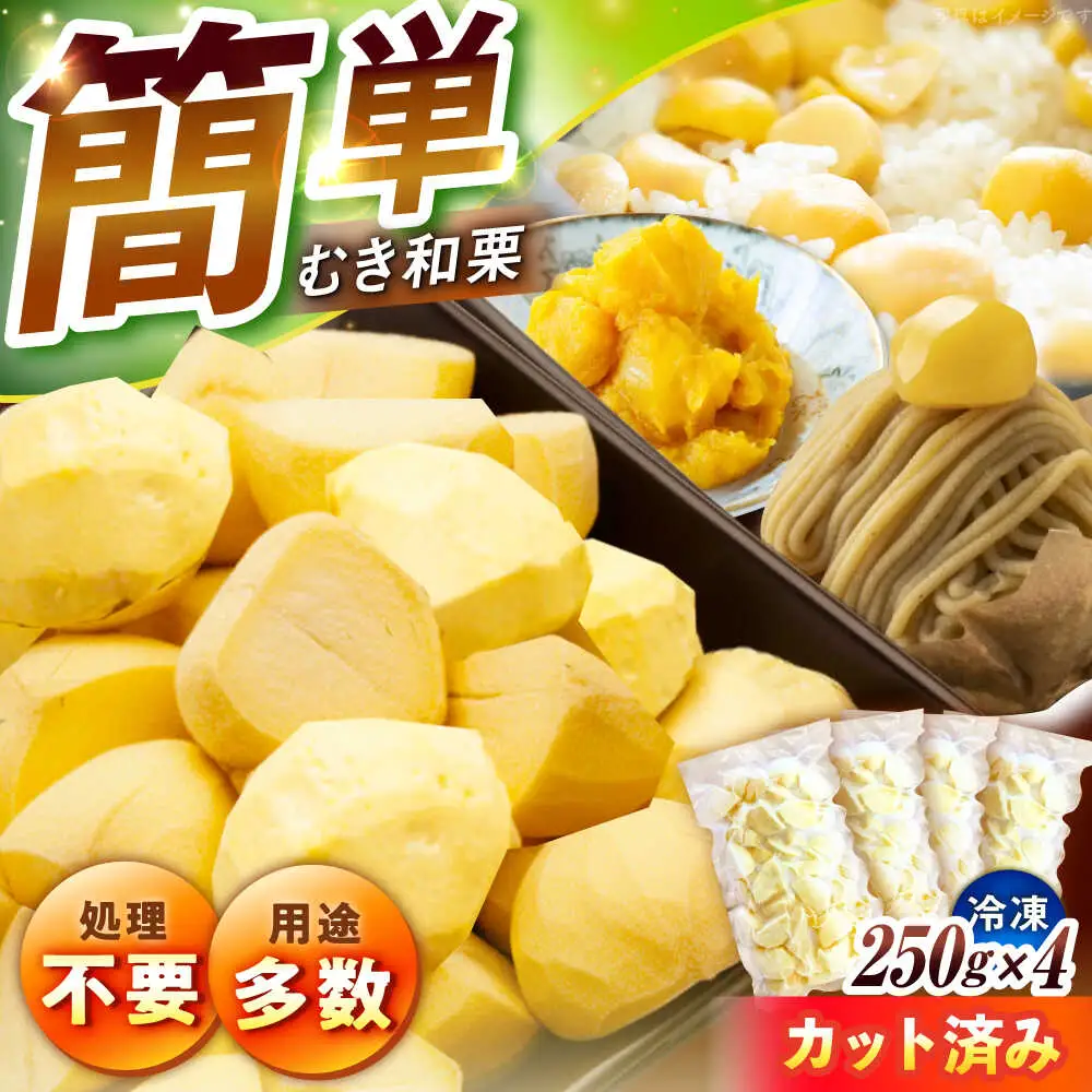 【先行予約】冷凍むき栗「日本栗」 カット1kg（250g×4P） / 恵那市 / えな笠置山栗園 [AUAV007]