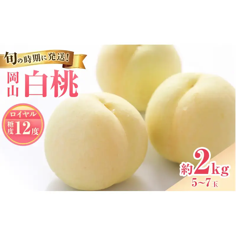 【2026年先行受付】 白桃 特秀 ロイヤル 大玉 約2kg(5～7玉) 岡山県産 桃 もも モモ 御中元 ギフト 御礼 プレゼント 御礼 御祝 御供 果物 くだもの フルーツ
