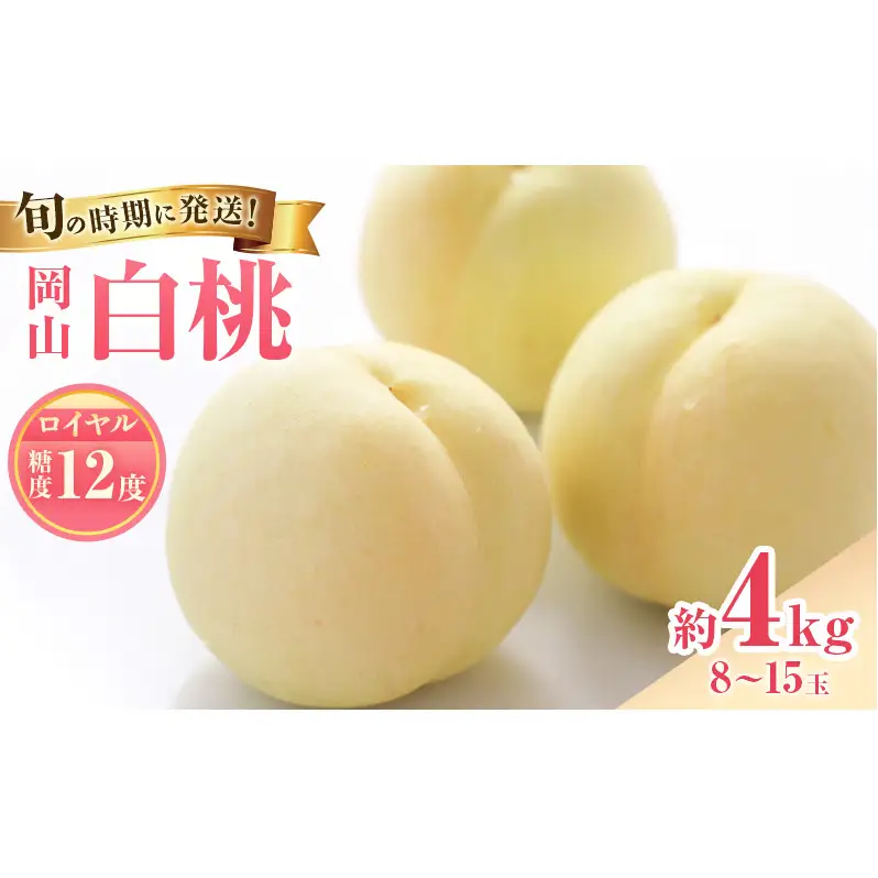 【2026年先行受付】 白桃 特秀 ロイヤル 大玉 約4kg(8～15玉) 岡山県産 桃 もも モモ 御中元 ギフト 御礼 プレゼント 御礼 御祝 御供 果物 くだもの フルーツ
