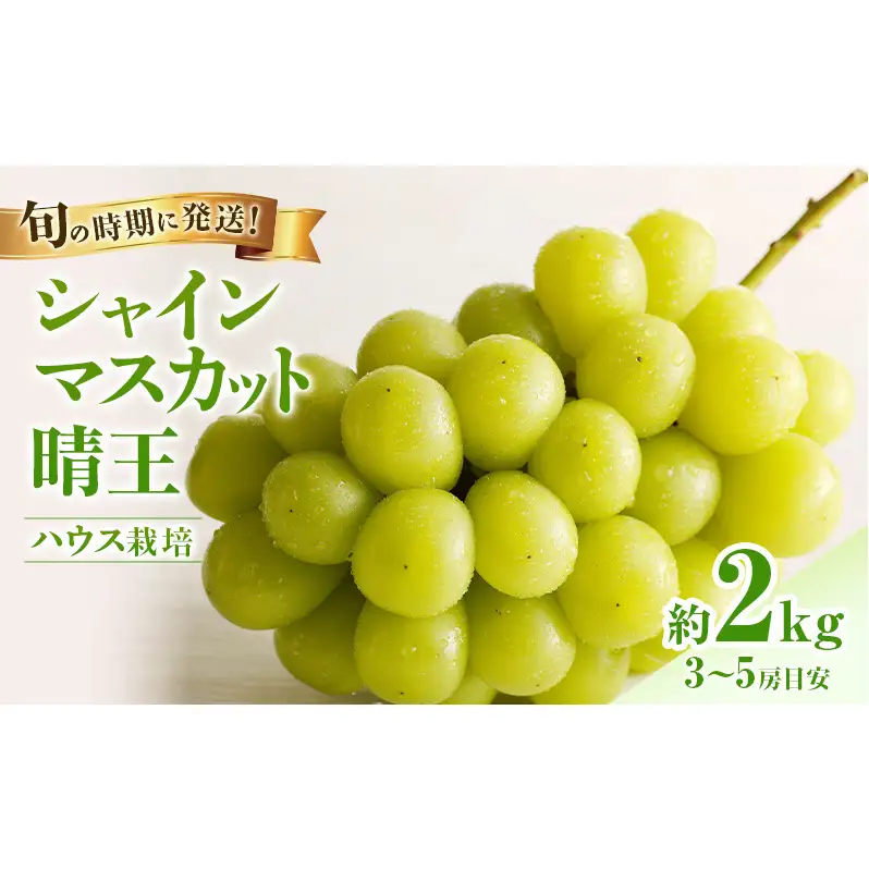 【2026年先行受付】 シャインマスカット 晴王 ハウス栽培 約2kg(3～5房目安) 岡山県産 ぶどう 葡萄 ブドウ 御中元 ギフト 御礼 プレゼント 御礼 御祝 御供 果物 くだもの フルーツ