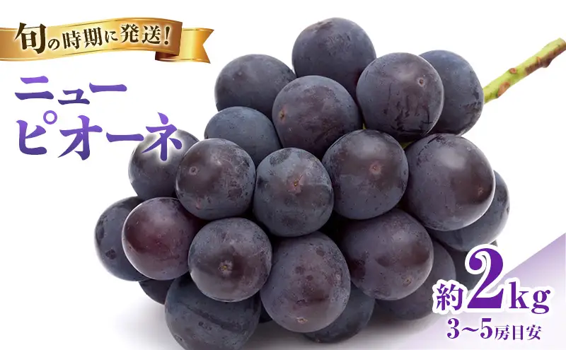 【2026年先行受付】 ぶどう ニューピオーネ 秀品 約2kg(3～5房) 岡山県産 ぶどう 葡萄 ブドウ ギフト 御礼 プレゼント 御礼 御祝 御供 果物 くだもの フルーツ