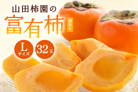 【2026年先行予約】富有柿 L16玉 2段箱（32玉） 柿 カキ かき フルーツ 果物 くだもの 産地直送 茨城県 石岡市 A45-002