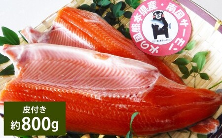 ＜ R8年熊本地震復興支援 ＞南国サーモン 約800g 皮付き 200g×4個 サーモン 鮭 サケ さけ 刺身 焼き鮭 魚 魚介 冷蔵 熊本県 上天草市 【2027年3月上旬～4月下旬迄発送予定】