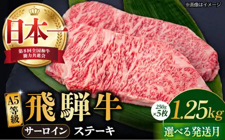 【10月発送】【飛騨牛】 A5等級 サーロイン ステーキ用 5枚 (計1.25kg) 和牛 ブランド牛 国産 牛肉 多治見市 / 渡辺精肉店 [TAZ002-10]