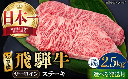 【9月発送】【飛騨牛】 A5等級 サーロイン ステーキ用 10枚 (計2.5kg) 和牛 ブランド牛 国産 牛肉 多治見市 / 渡辺精肉店 [TAZ003-9]