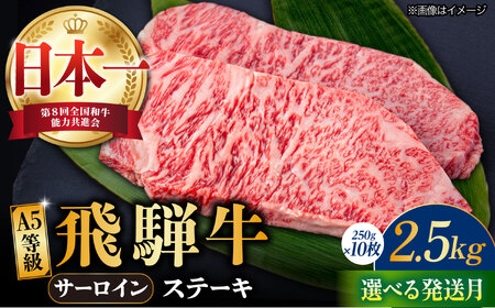 【12月発送】【飛騨牛】 A5等級 サーロイン ステーキ用 10枚 (計2.5kg) 和牛 ブランド牛 国産 牛肉 多治見市 / 渡辺精肉店 [TAZ003-12]