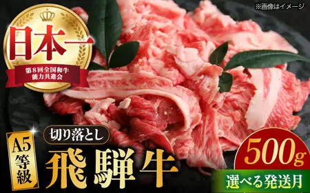 【9月発送】【飛騨牛】 切り落とし 500g 和牛 ブランド牛 国産 牛肉 多治見市 / 渡辺精肉店 [TAZ004-9]