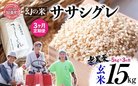 【 3回 定期便 】令和7年産 ササシグレ 玄米 5kg × 3回 （ 合計 15kg ） | nt-ss05-gn-t3-r7