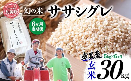 【 6回 定期便 】令和7年産 ササシグレ 玄米 5kg × 6回 （ 合計 30kg ） | nt-ss05-gn-t6-r7