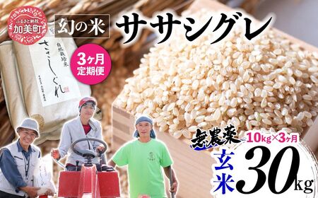 【 3回 定期便 】令和7年産 ササシグレ 玄米 10kg × 3回 （ 合計 30kg ） | nt-ss10-gn-t3-r7