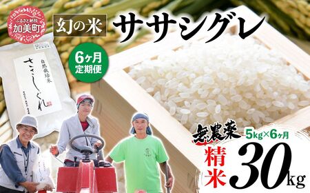 【 6回 定期便 】令和7年産 ササシグレ 精米 5kg × 6回 （ 合計 30kg ） | nt-ss05-t6-r7