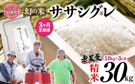 【 3回 定期便 】令和7年産 ササシグレ 精米 10kg × 3回 （ 合計 30kg ） | nt-ss10-t3-r7