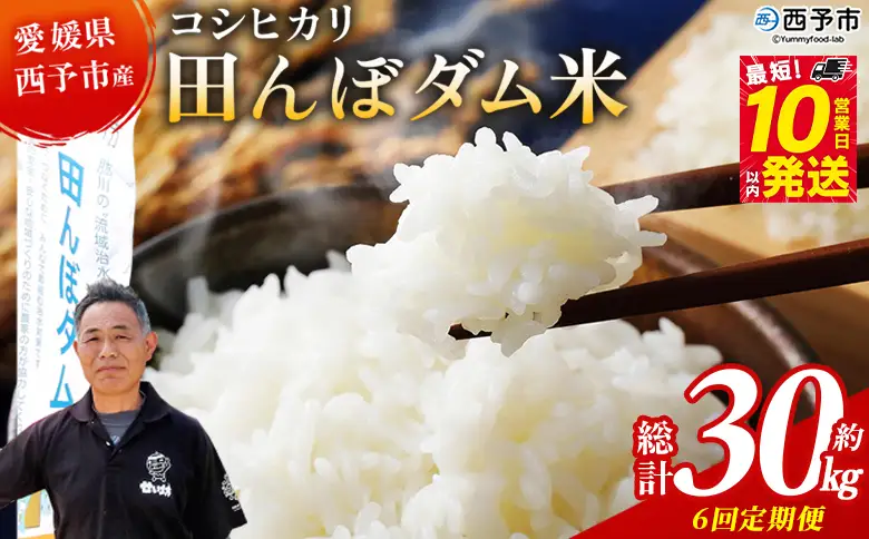 ＜令和8年産 愛媛県西予市産 コシヒカリ 田んぼダム米 5kg 6回定期便＞※最短10営業日以内に第1回目を出荷予定 5キロ こしひかり 西予応援米 宇和米 お米 コメ こめ 白米 精米 米 国産 愛媛県産 宇和町産 和みファーム 愛媛県 西予市【常温】UWN0004