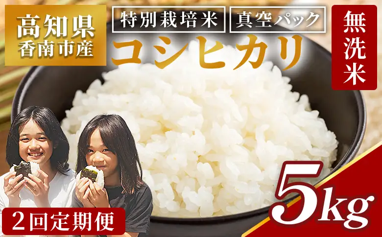 【2回定期便】無洗米令和8年産高知県コシヒカリ5kg 無洗米 Wnu-0007