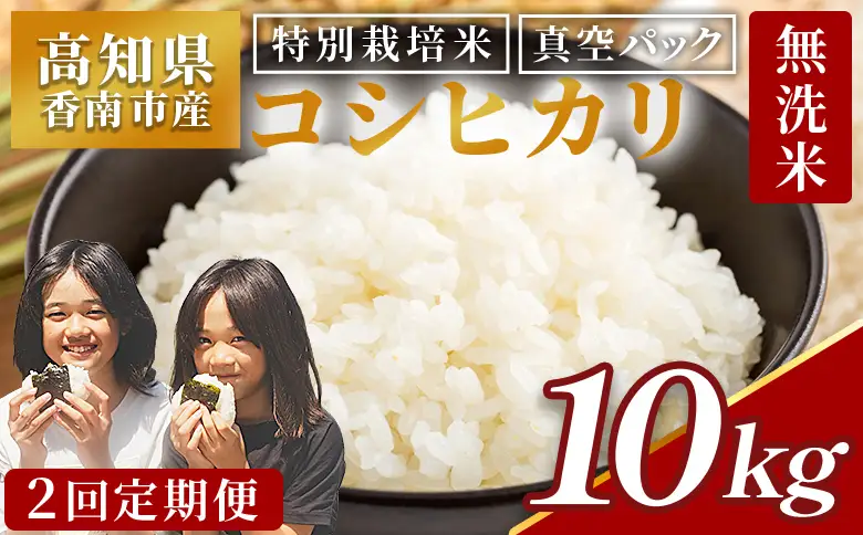 【2回定期便】令和8年産 コシヒカリ(特別栽培米) 無洗米 10kg 米 Wnu-0008