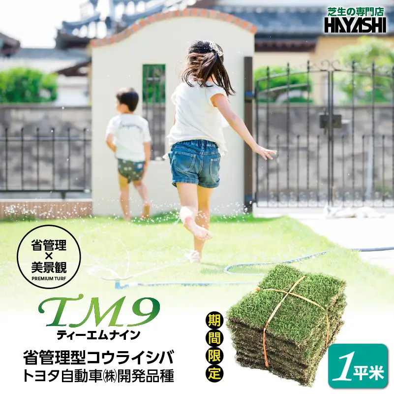 TM9（ティーエムナイン）省管理型 コウライシバ トヨタ自動車(株)開発品種 1平米 KN080-007-01 芝生 芝 庭