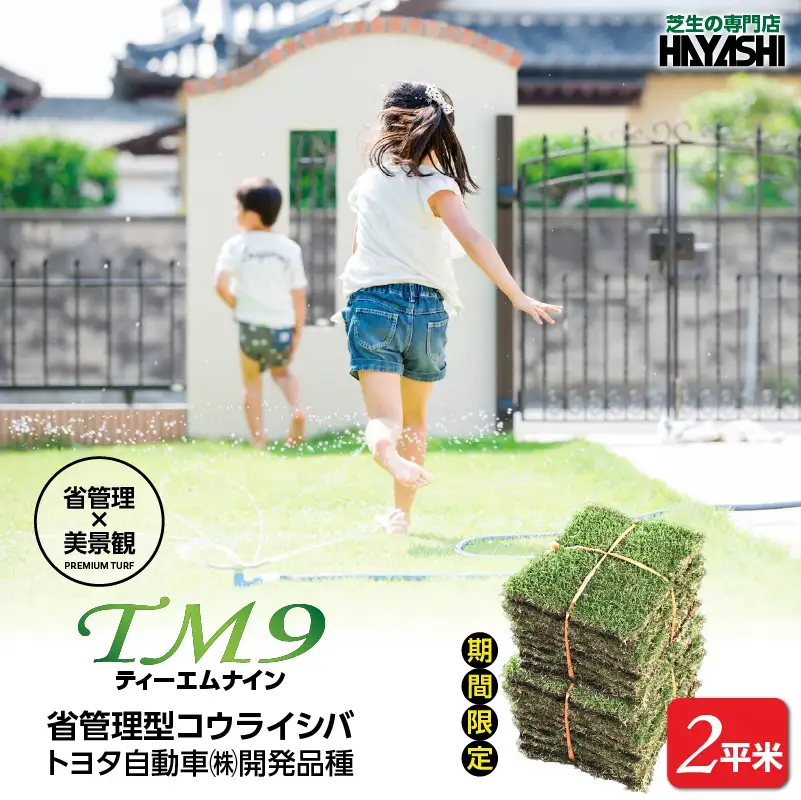 TM9（ティーエムナイン）省管理型 コウライシバ トヨタ自動車(株)開発品種 2平米 KN080-007-02 芝生 芝 庭