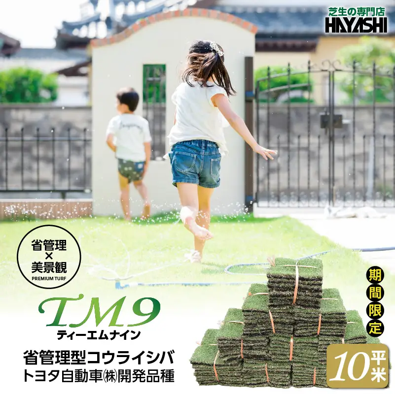 TM9（ティーエムナイン）省管理型 コウライシバ トヨタ自動車(株)開発品種 10平米 KN080-007-03 芝生 芝 庭