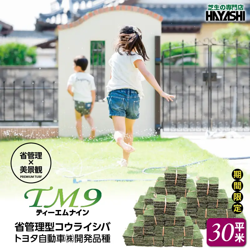 TM9（ティーエムナイン）省管理型 コウライシバ トヨタ自動車(株)開発品種 30平米 KN080-007-04 芝生 芝 庭