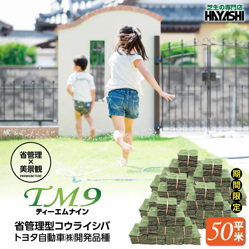 TM9 （ ティーエムナイン ） 省管理型コウライシバ トヨタ自動車(株) 開発品種 50平米 KN080-007-05 庭
